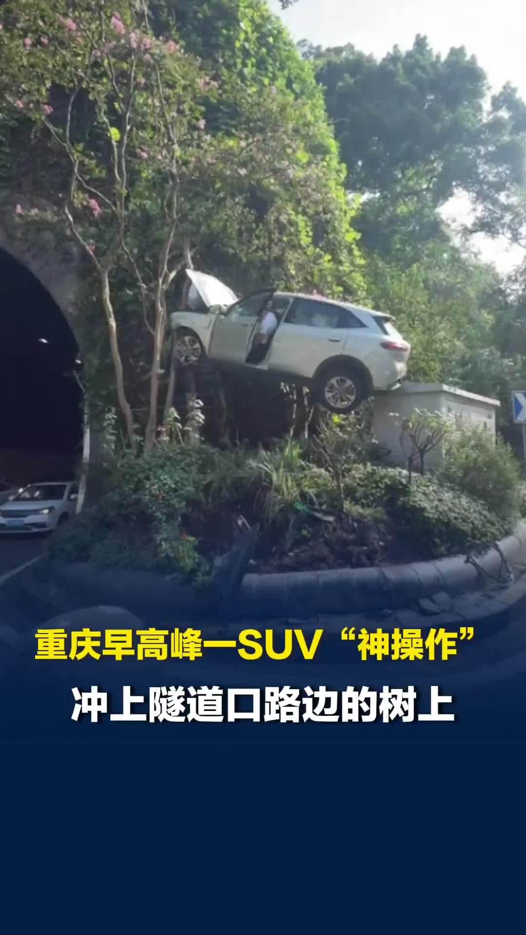 重庆早高峰一SUV“神操作”，冲上隧道口路边的树上，目击者：司机没事