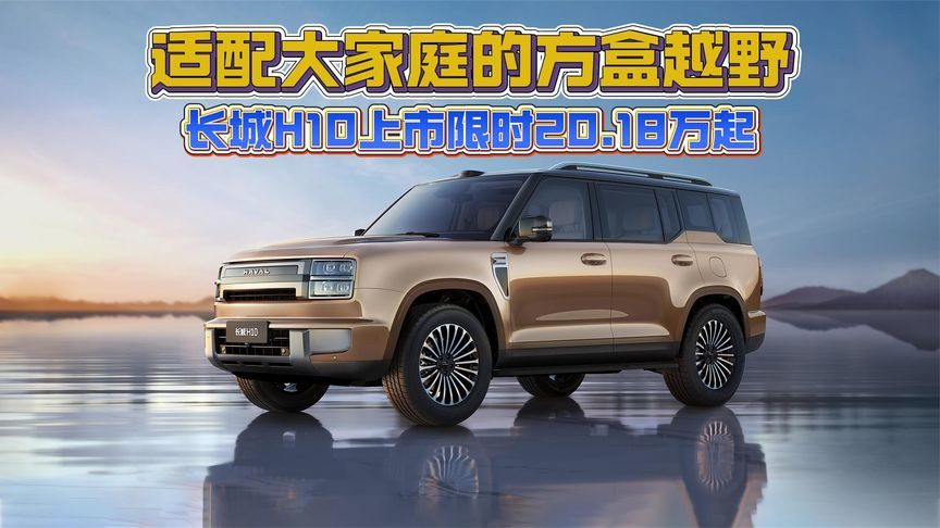 适配大家庭的方盒越野 长城H10上市限时20.18万起