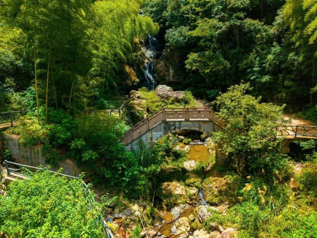 DJI_20260728121500_0123_D.jpg