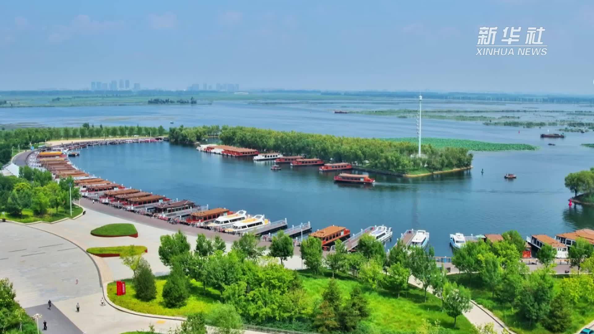 走进盛夏白洋淀 邂逅荷塘苇海
