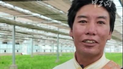 我们的家园丨年收入翻了6倍！一朵藏红花带富整个村