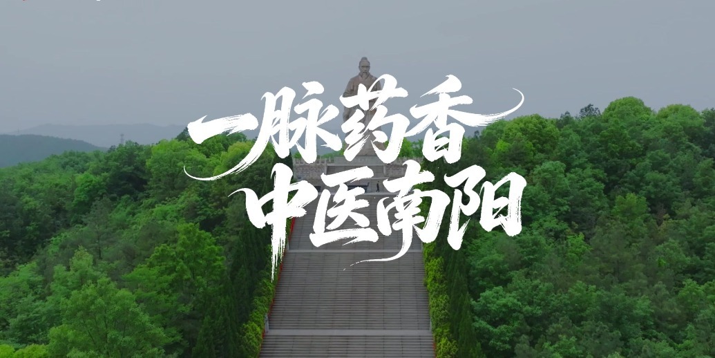 一脉药香，中医南阳