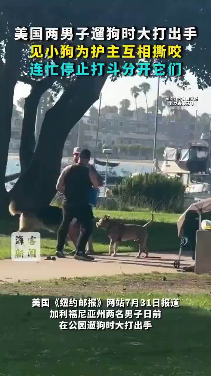 美国两名男子打架狗为护主互相撕咬