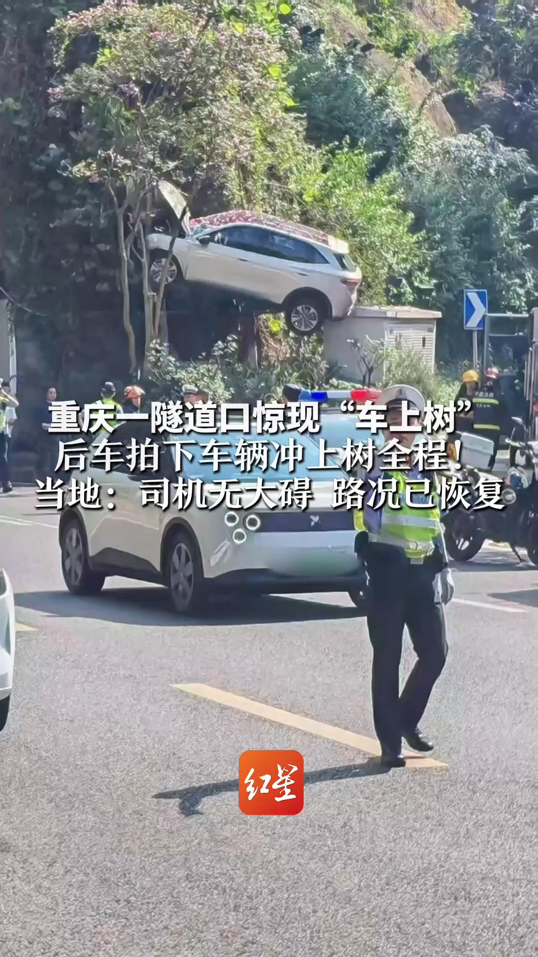 重庆一隧道口惊现“车上树”后车拍下车辆冲上树全程！当地：司机无大碍 正在处理 路况已恢复正常