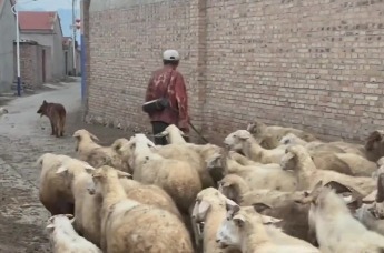 上官正义曝残障老人与羊同住，最新消息：老人系安徽阜阳人，已回家团聚
