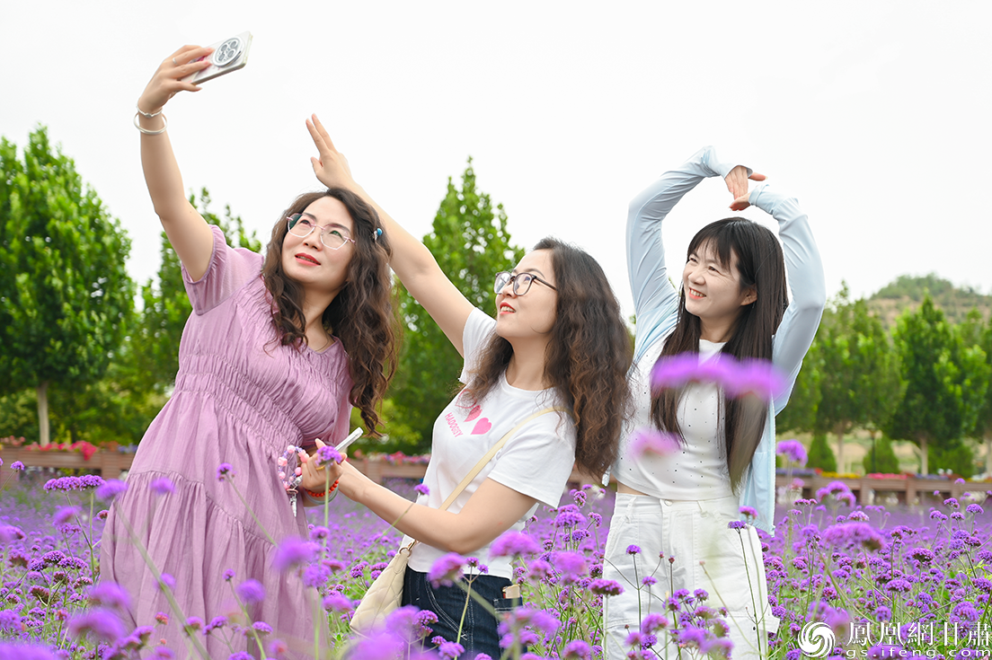 白银大坪凤园花海绚烂绽放，游客打卡定格夏日浪漫。王婷　摄