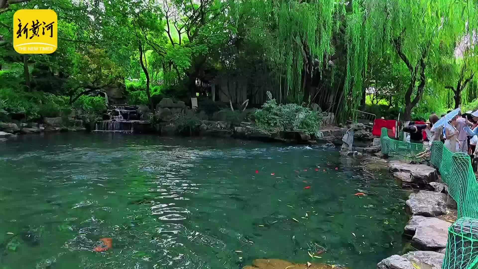 水量丰沛濯缨池外溢“清泉石上流”加装安全网