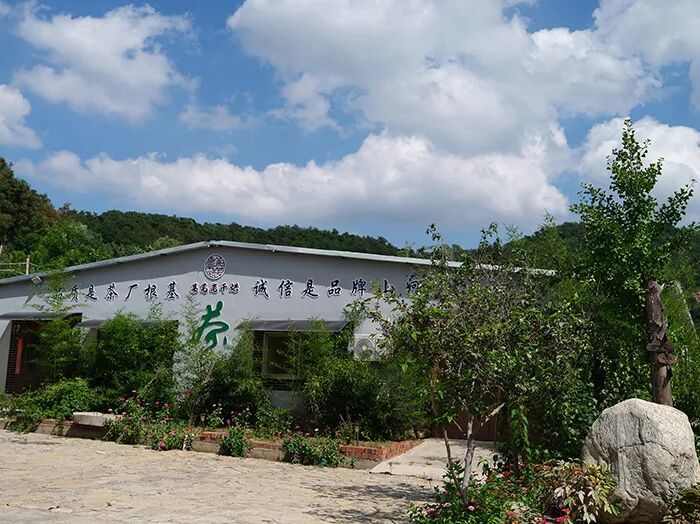 莱芜老干烘(莲花山茶业)1.jpg