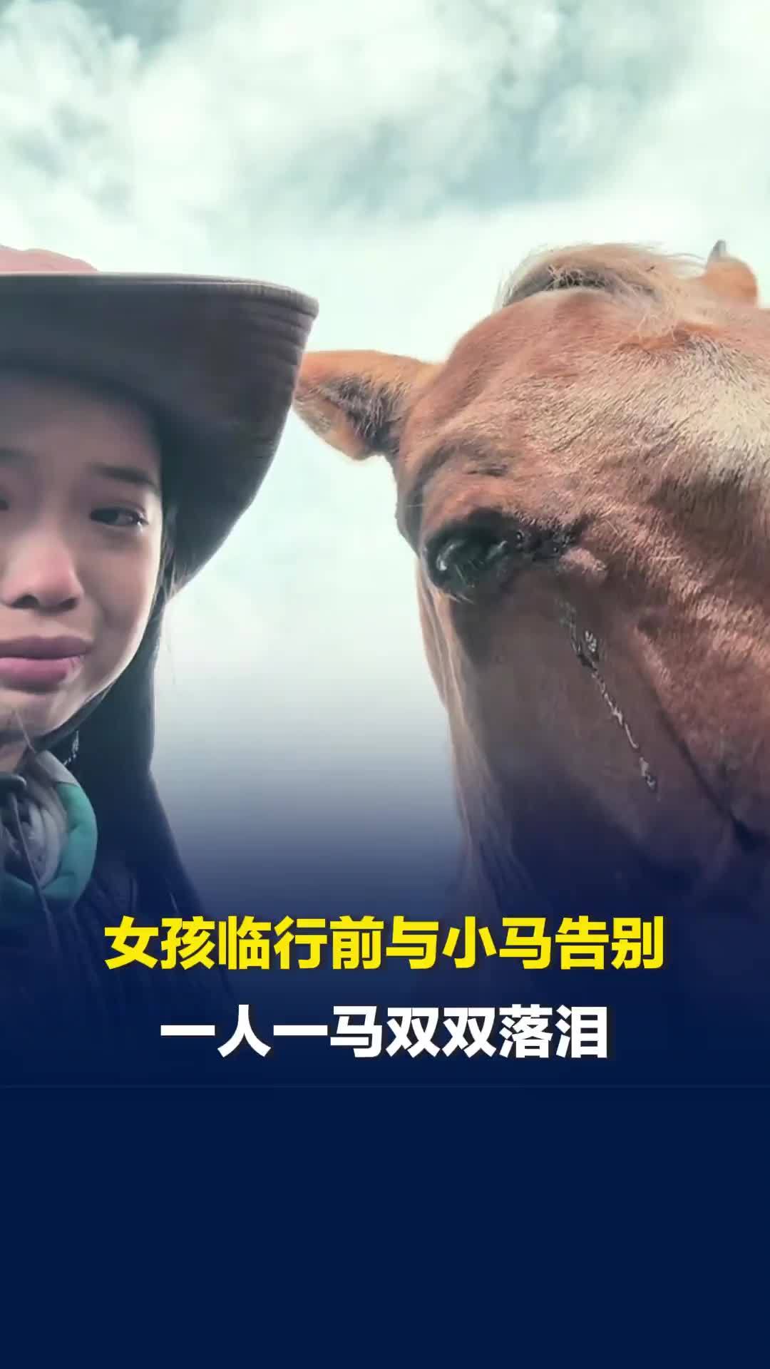 女孩旅居月余，临行前与小马告别，一人一马双双落泪