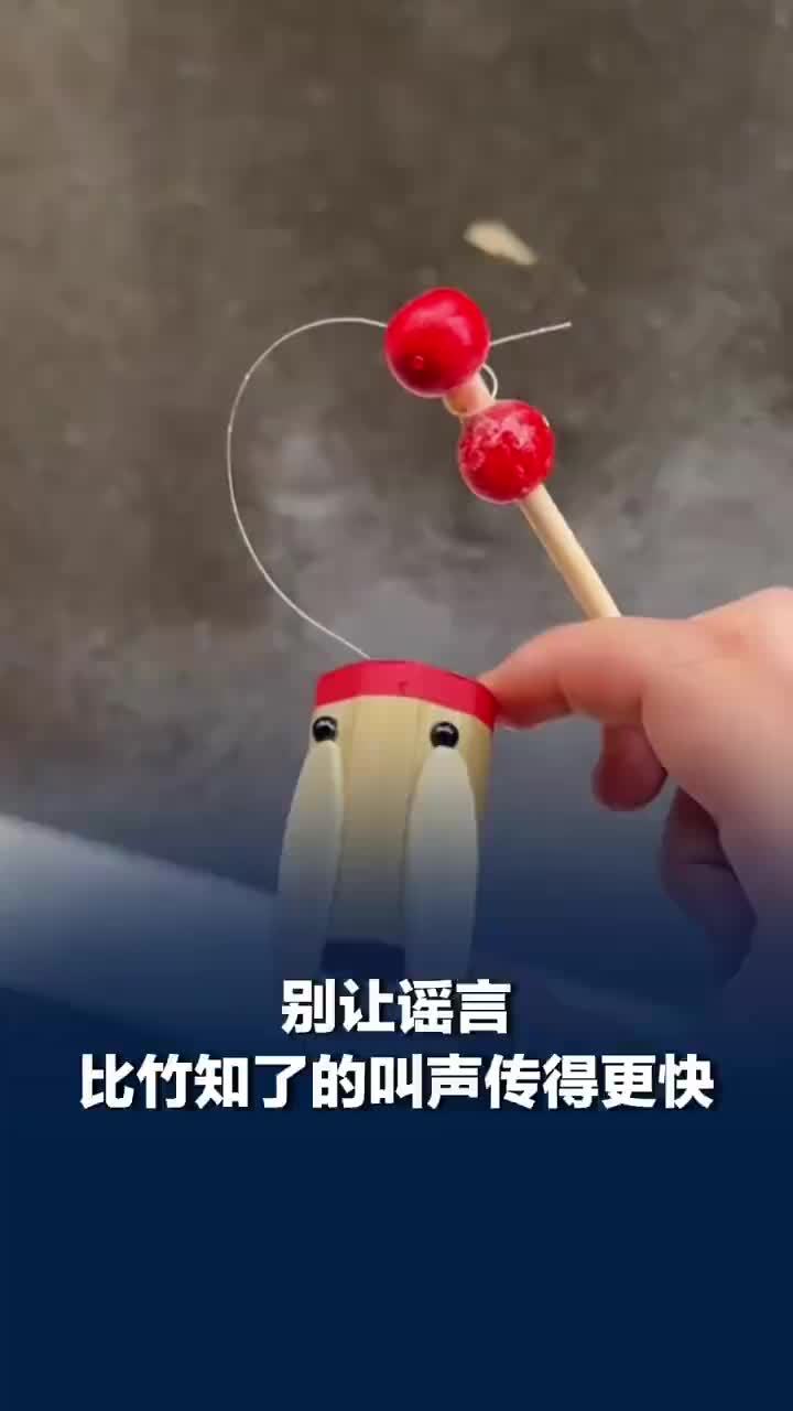 媒体评：谣言比竹知了的叫声传得更快