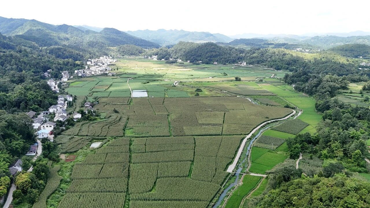 遇见红缨子