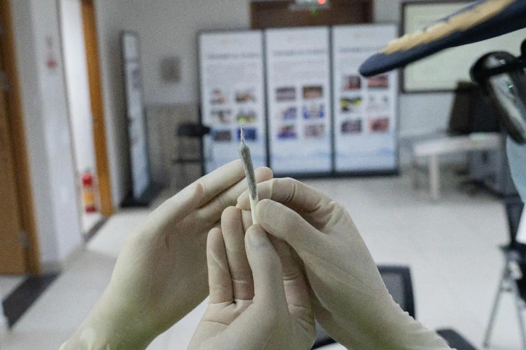 口香糖瓶内藏毒!一司机携4支大麻烟入境被港珠澳大桥海关查获