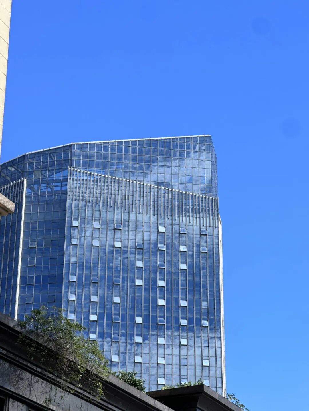 151257dd32854a3ae9dbfd9536aa8ddb.jpg