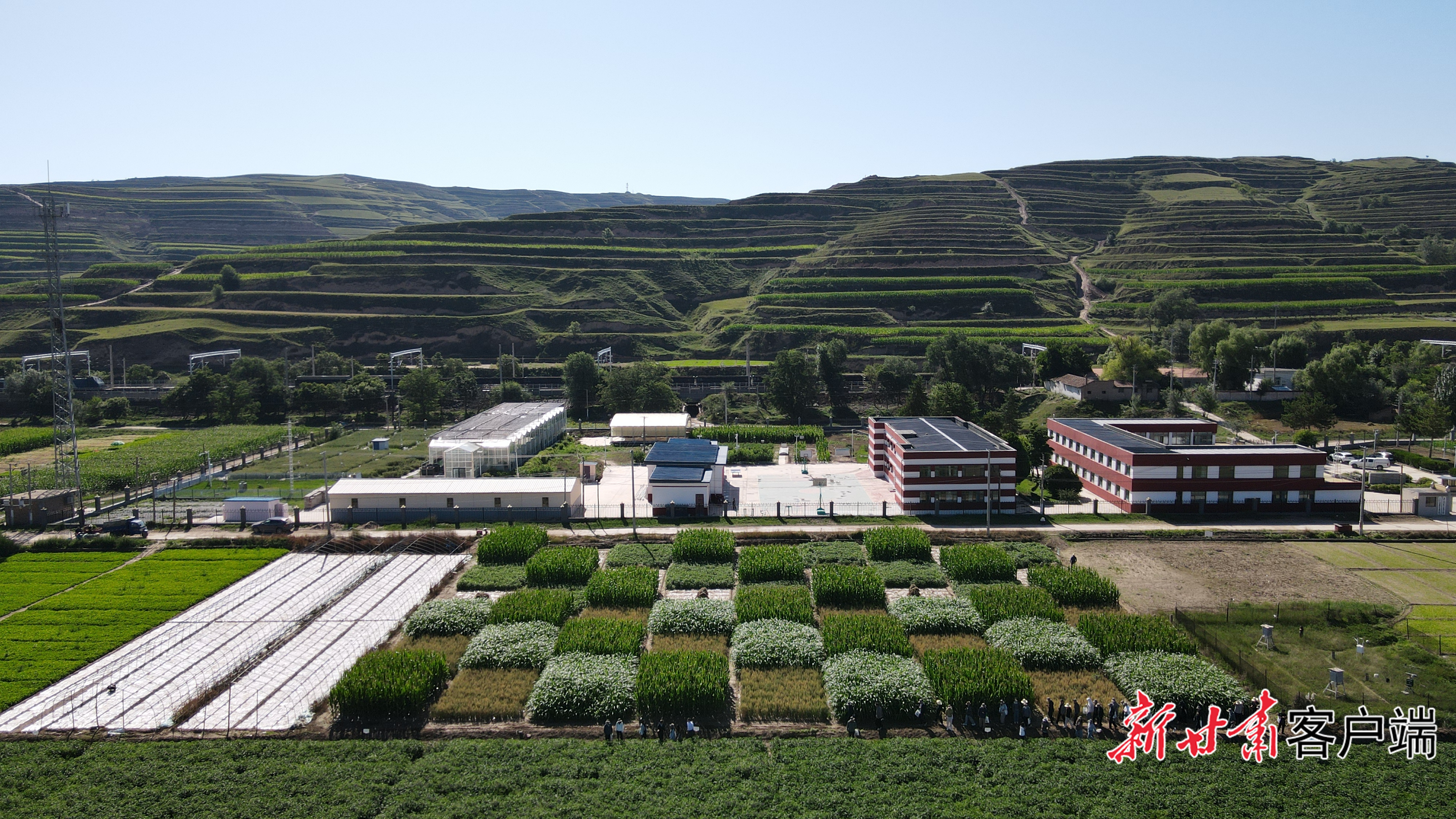 甘肃省农科院定西试验站示范基地 本文视频和图片均由新甘肃·甘肃日报记者冯宝强摄制