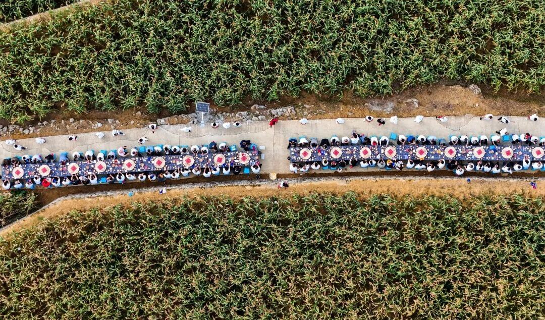 DJI_20240817190344_0083_D.jpg