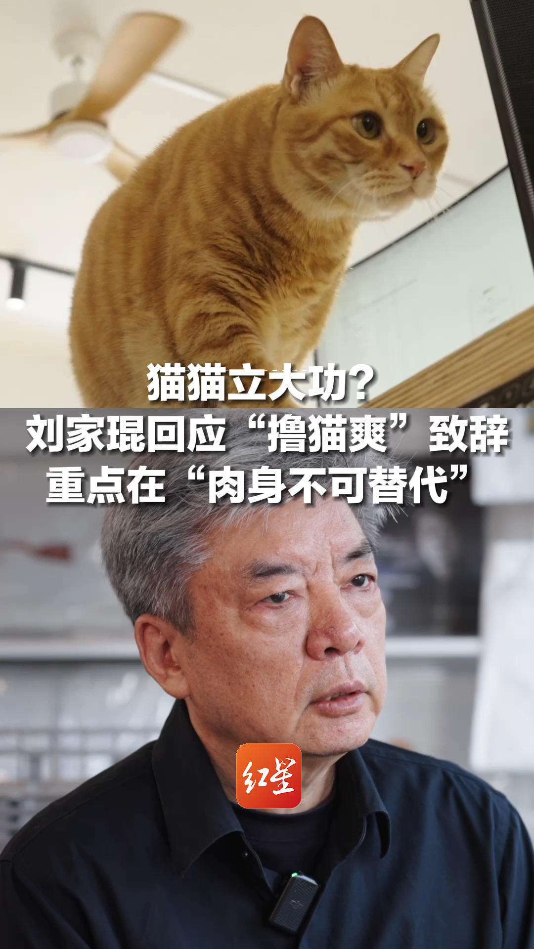 猫猫立大功？拿下“建筑界最高奖”的刘家琨，回应获奖致辞谈“撸猫爽”：肉身不可替代，机器无法替代人的感受