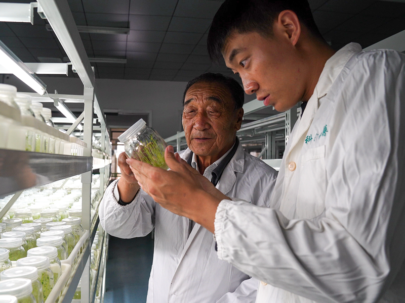 石健阳(右一)和祖父石光银在无毒马铃薯繁育中心查看马铃薯繁育原种情况。(受访者供图)