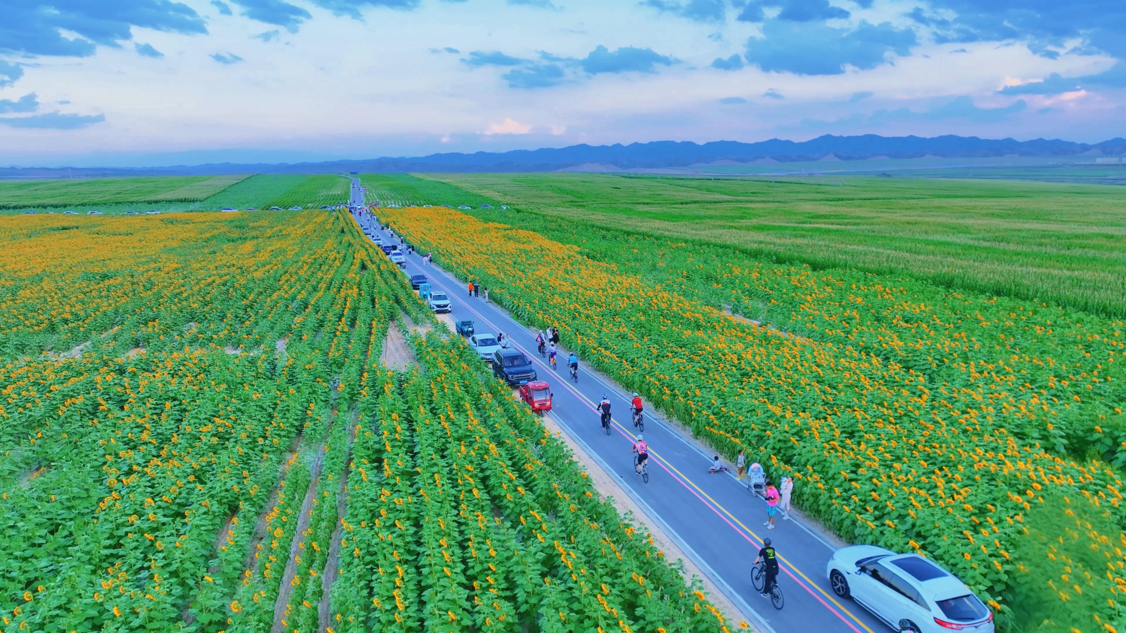 在“网红路”滑轮滑的运动爱好者