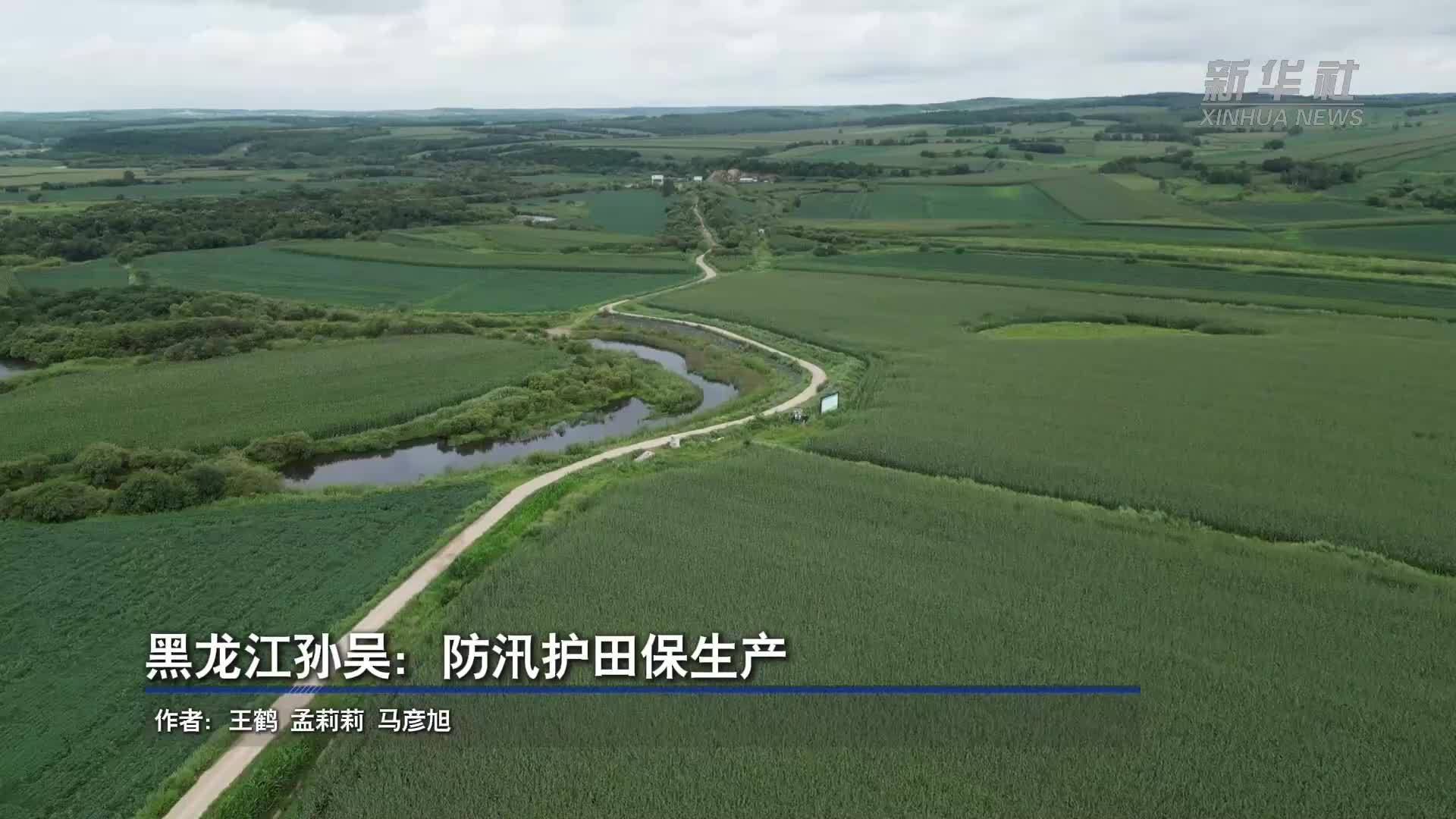 黑龙江孙吴：防汛护田保生产