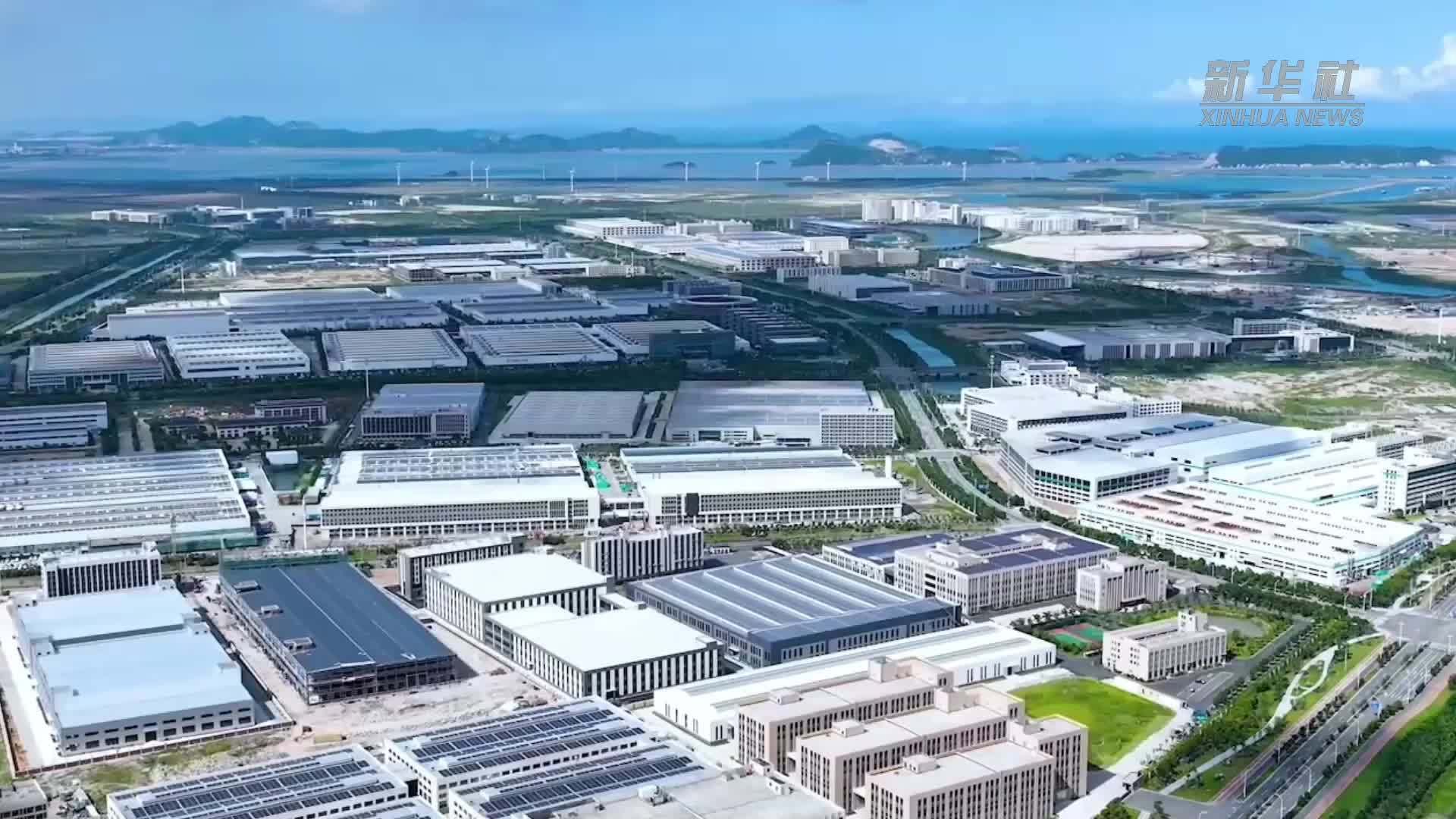 产业发展开新局丨老树何以发新枝