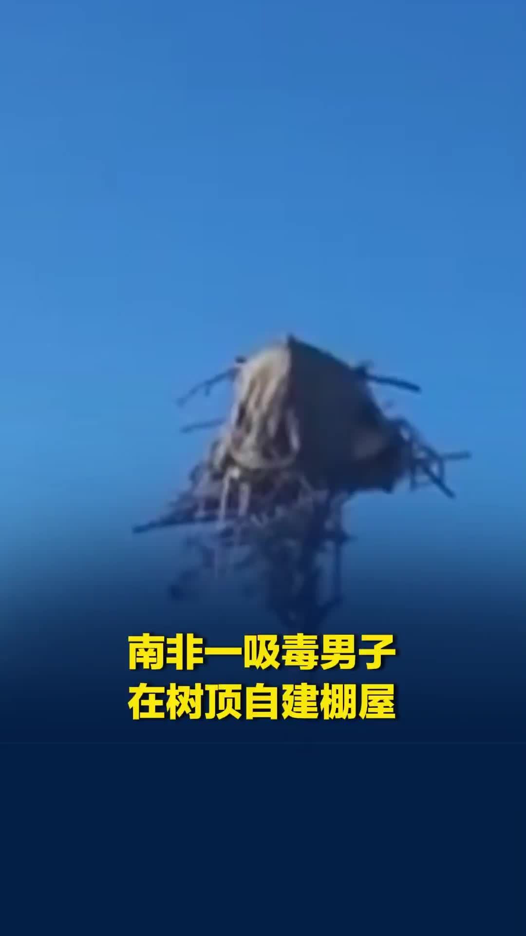 南非一男子失去父母亲人，在树顶自建棚屋睡了两个多月，称为寻求内心平静