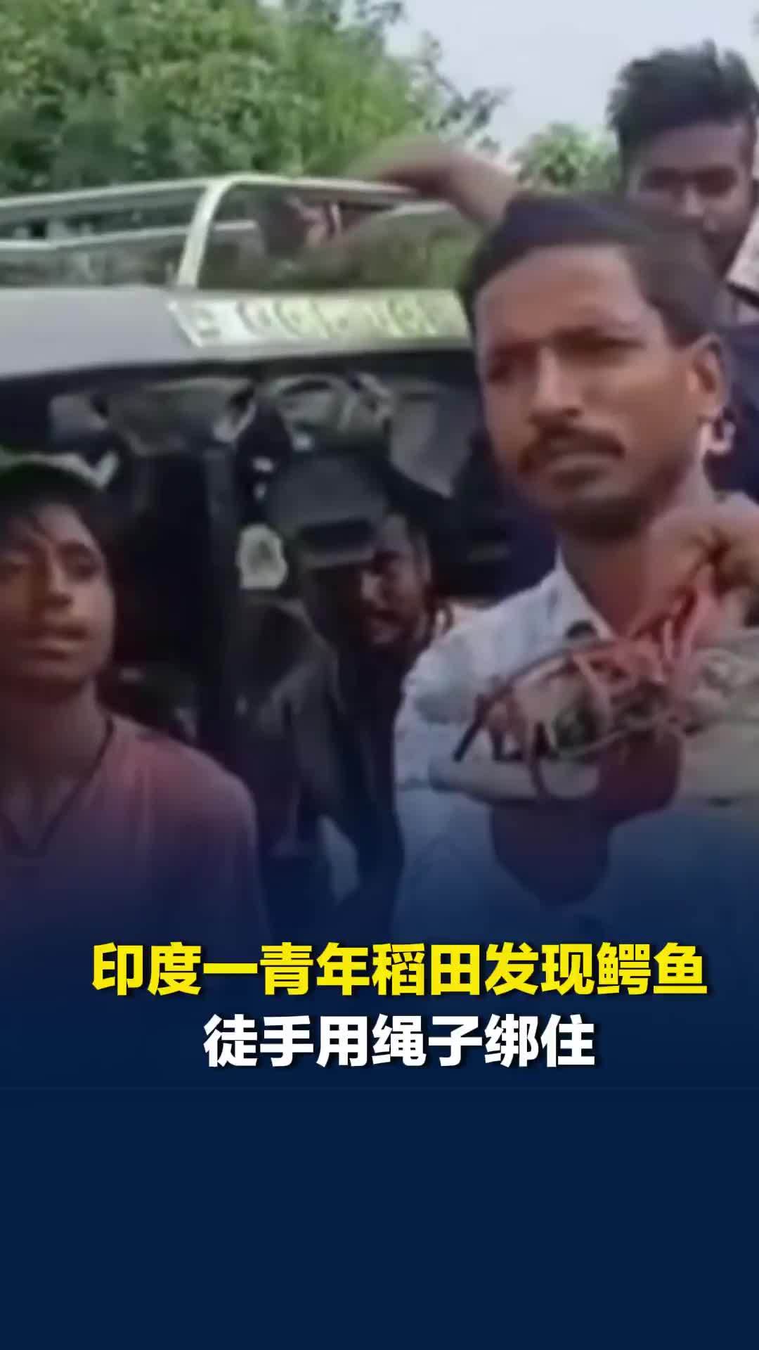 印度一青年稻田发现鳄鱼，徒手用绳子绑住扛在肩上送到警局，神情自然如扛麻袋