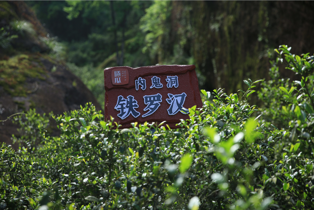 图片 2.png
