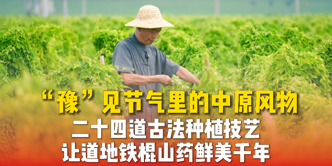 立秋，豫见节气里的中原风物
