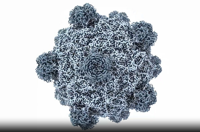 US Scientists Use AI to Design a Complete Virus Genome for the First Time