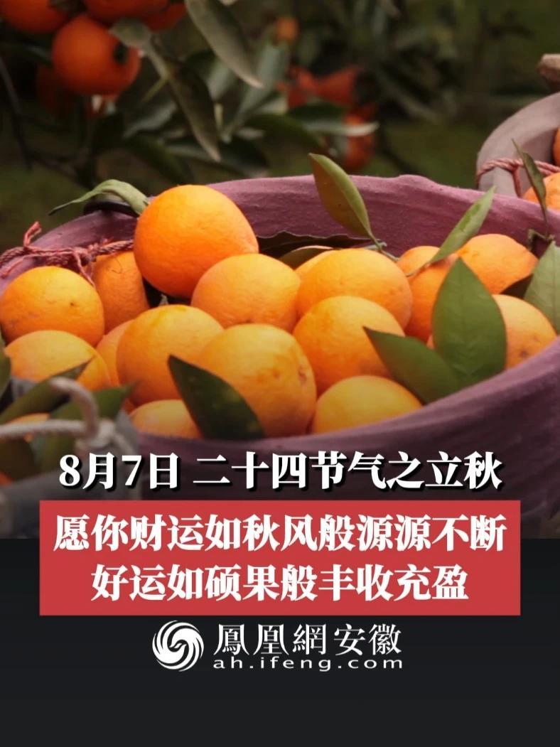 #凤观二十四节气  8月7日，二十四节气之立秋，愿你财运如秋风般源源不断，好运如硕果般丰收充盈。#立秋 #秋天的第一个节气 #祝福