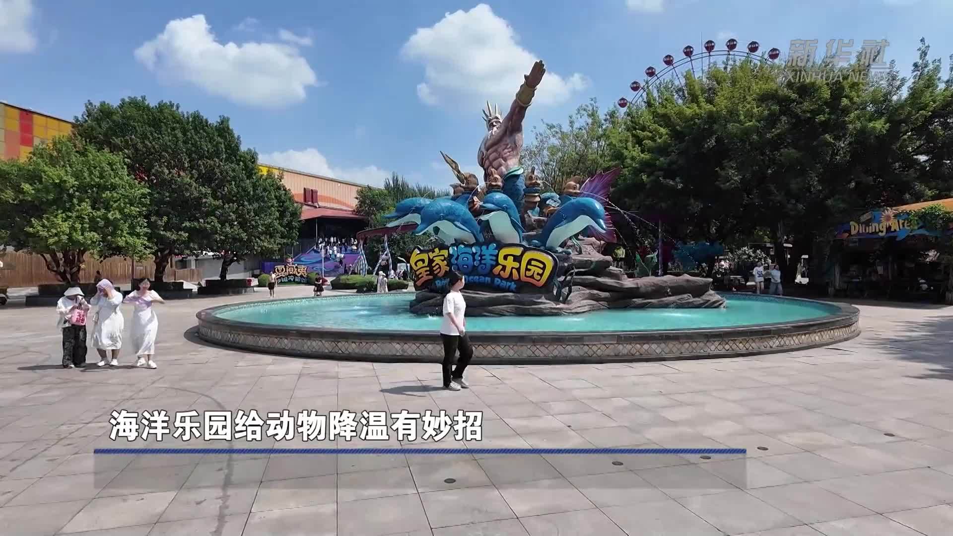 海洋乐园给动物降温有妙招