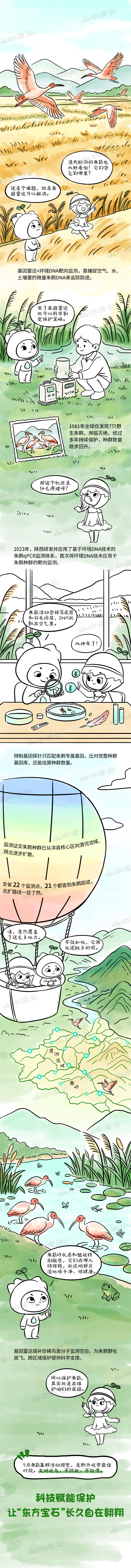 山水趣科普丨从“孤羽”到“群飞”：朱鹮的“基因雷达”DNA靶向监测