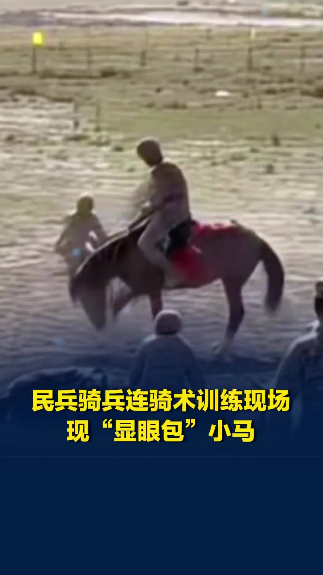 骑兵连训练现场惊现“显眼包”！小马卧倒前花式刨石子，缓缓躺下逗笑全场