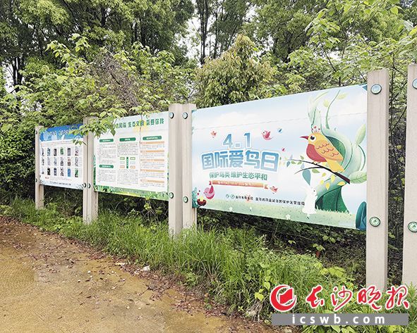 明朗山岛上的爱护鸟类告示牌。周琳 摄