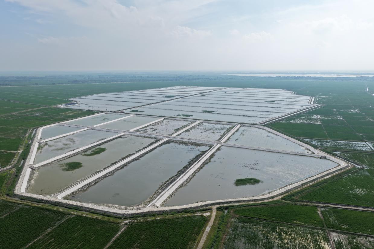 镇赉县汇聚农业科技发展有限公司小龙虾养殖基地之一（镇赉县委宣传部供图）