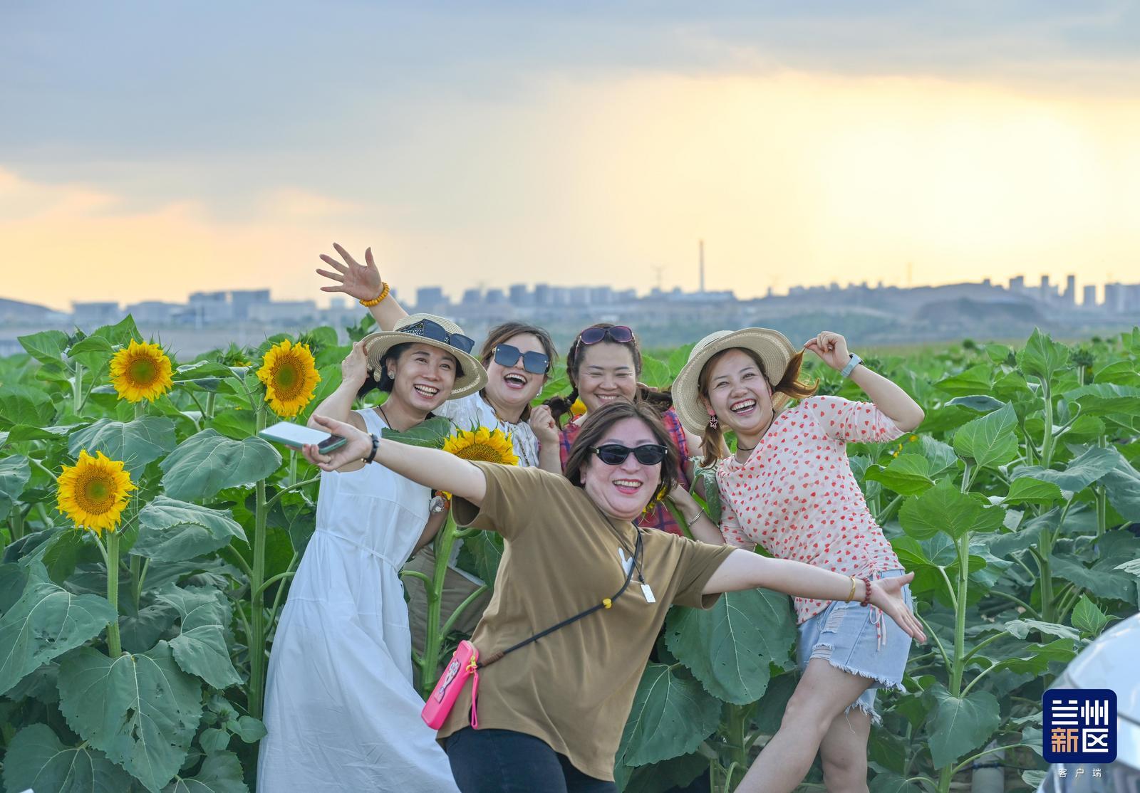 游客徜徉向日葵花海,拍照留念,尽享夏日美好。