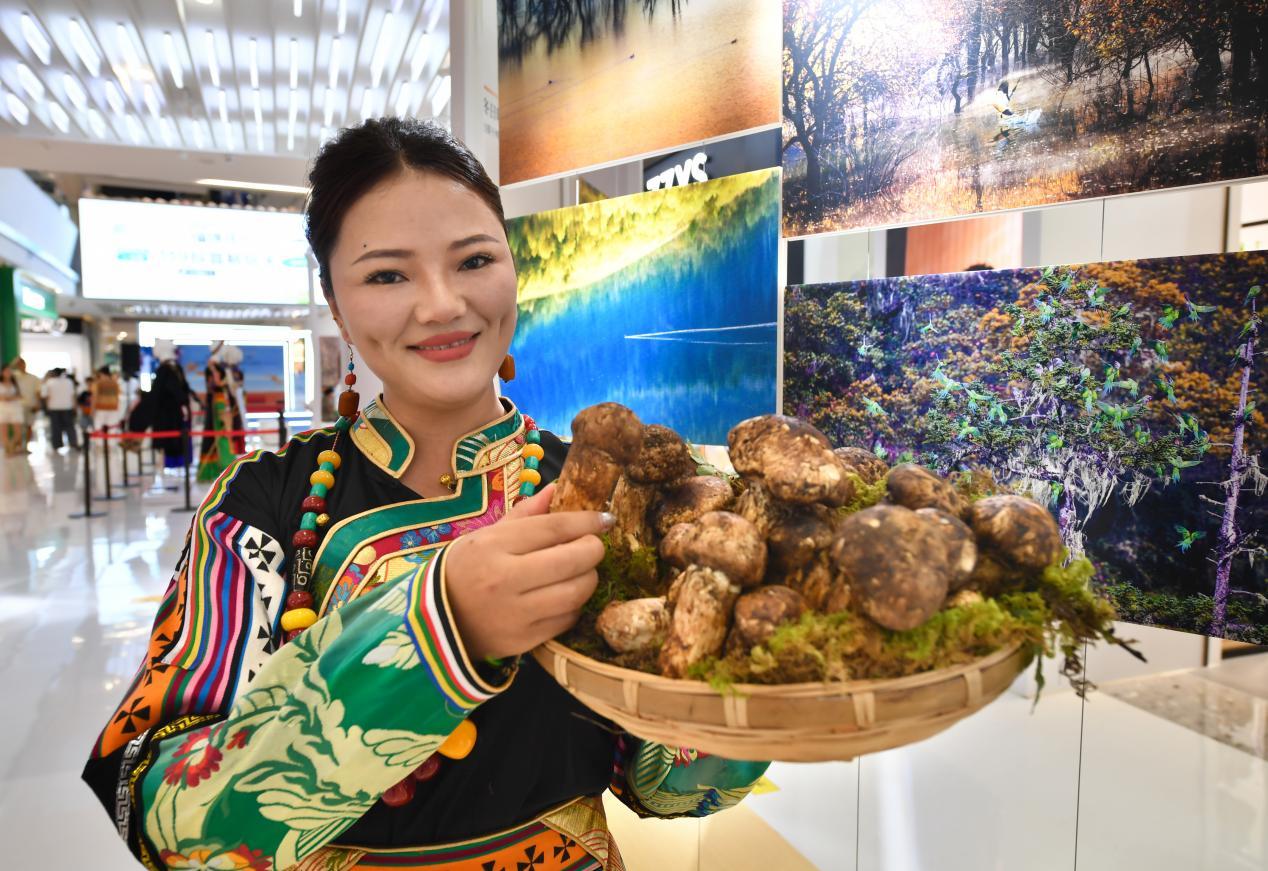 宁波鄞州：多元统战聚力 订单搭桥铺就山海共富路