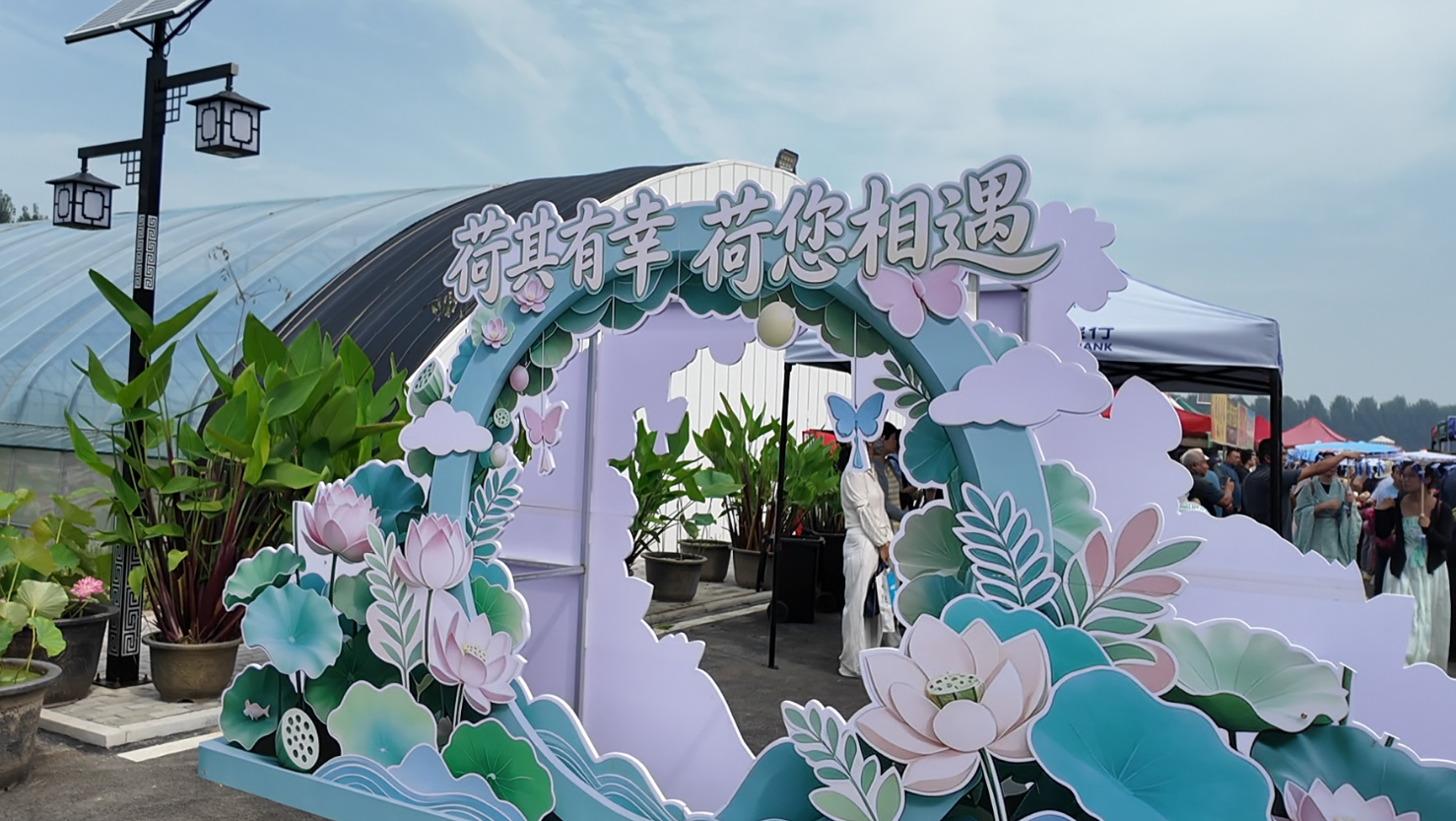 荷韵泉城·云湖有约——章丘区首届荷花市集暨荷众苑荷诞游园会盛大开启