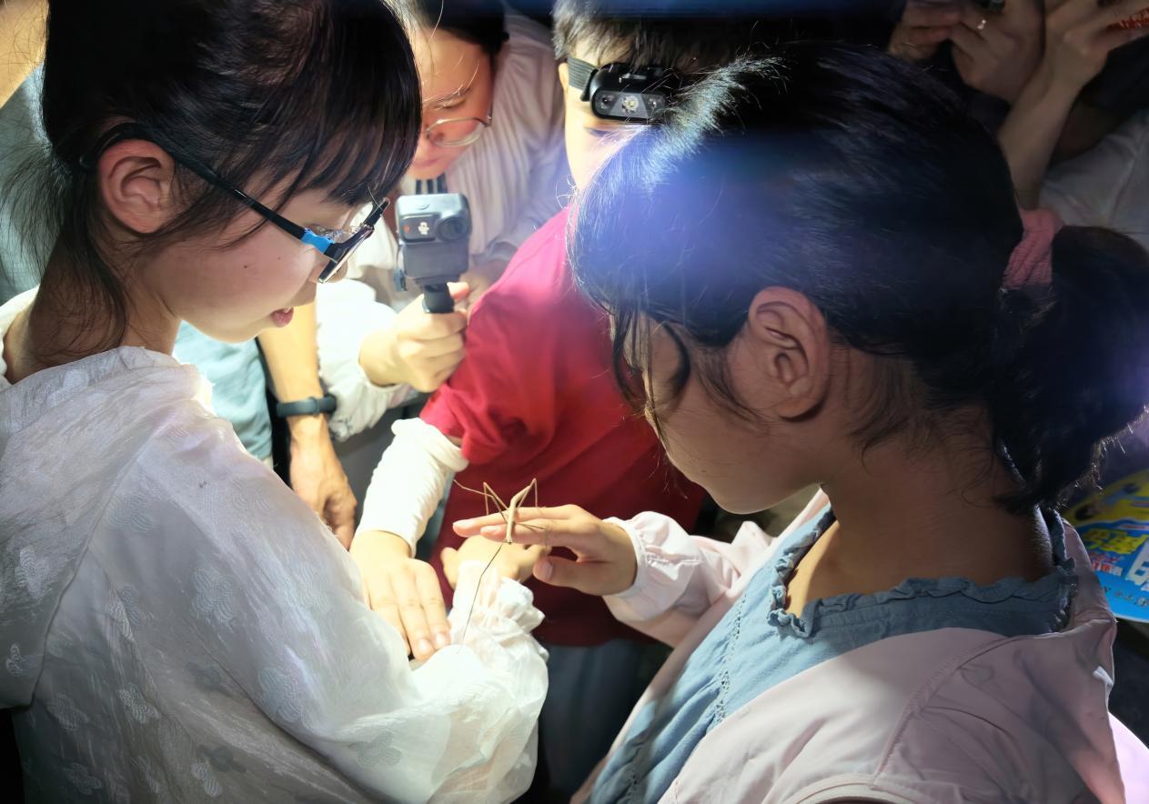 “美丽‘镇’发现”生态研学自然笔记活动走进九龙湖湿地