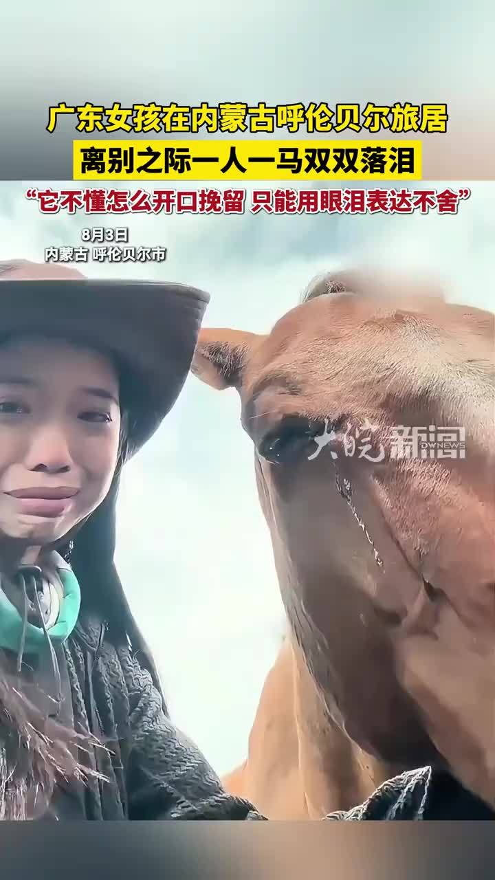 广东女孩在内蒙古呼伦贝尔旅居 离别之际一人一马双双落泪