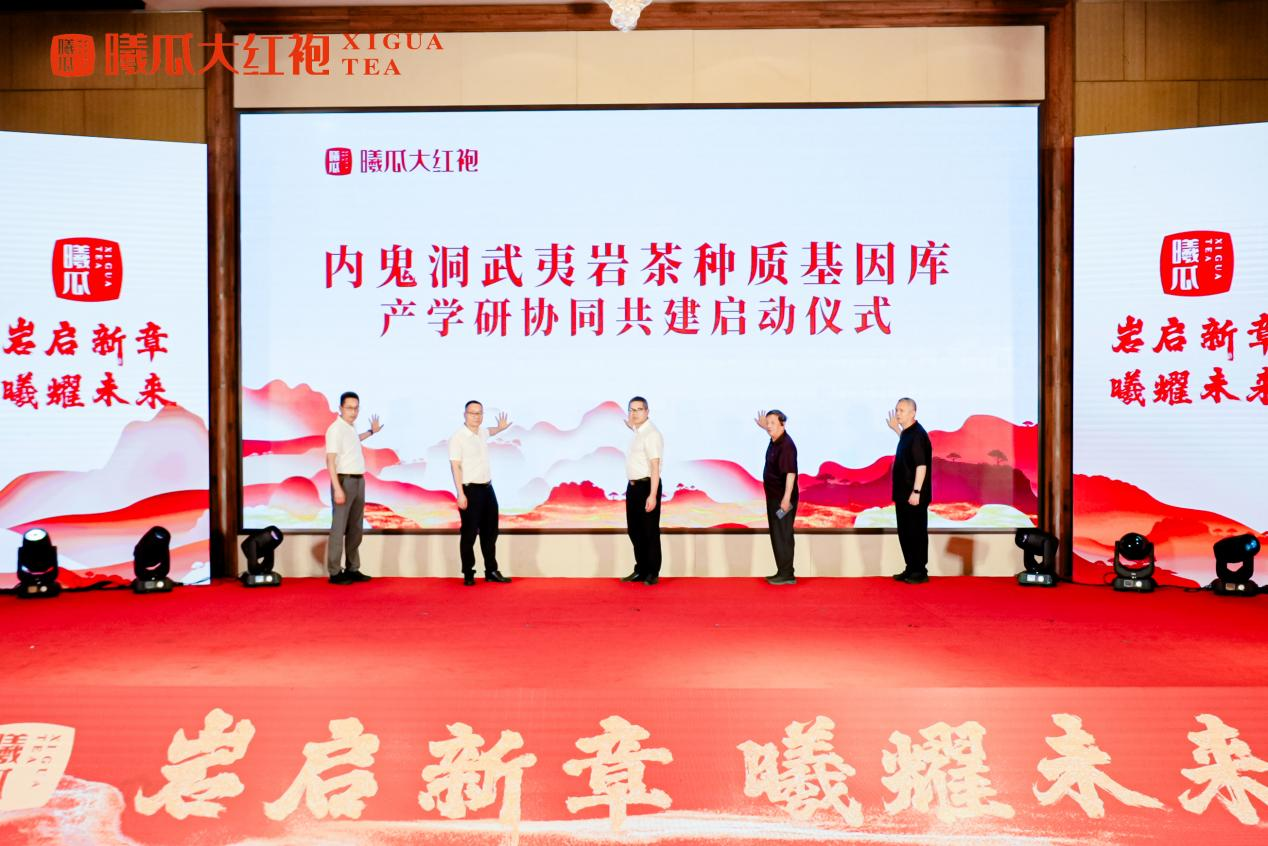 图片 10.png