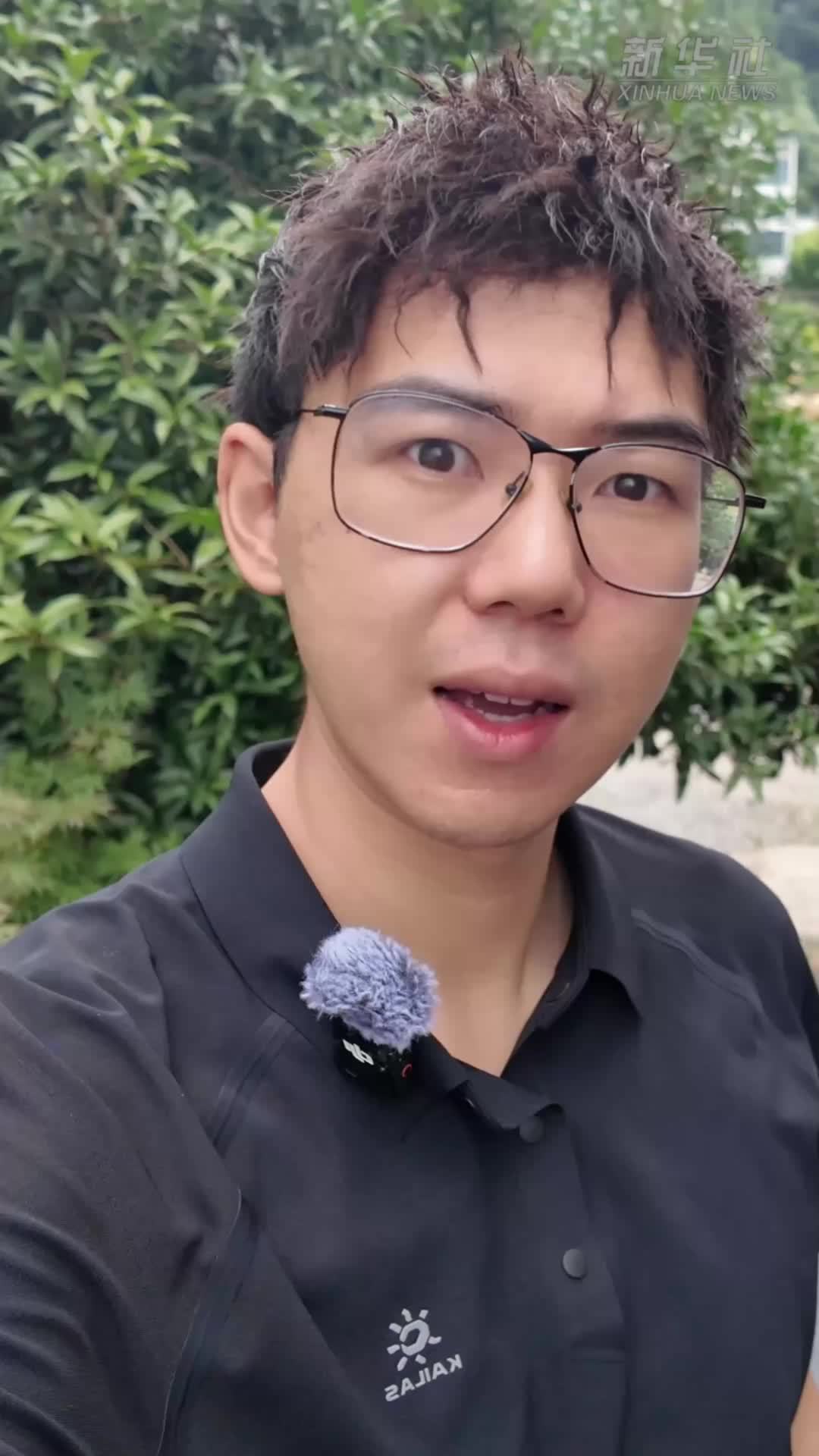 歙县徽墨：方寸墨锭载千年文脉