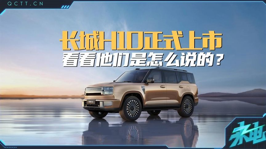 长城H10正式上市，看看他们是怎么说的？