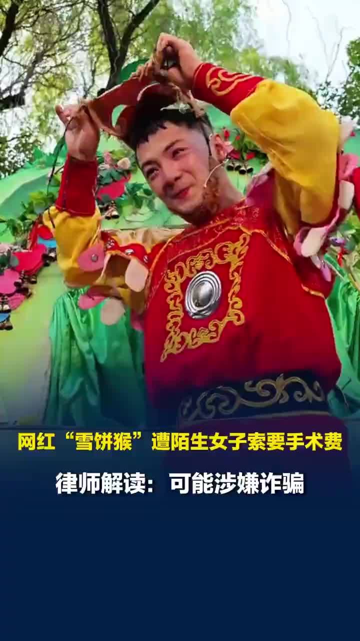 律师谈怀孕女子向雪饼猴索要手术费