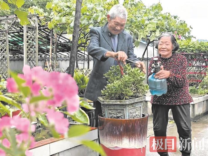 老两口配合默契打理花园 通讯员供图