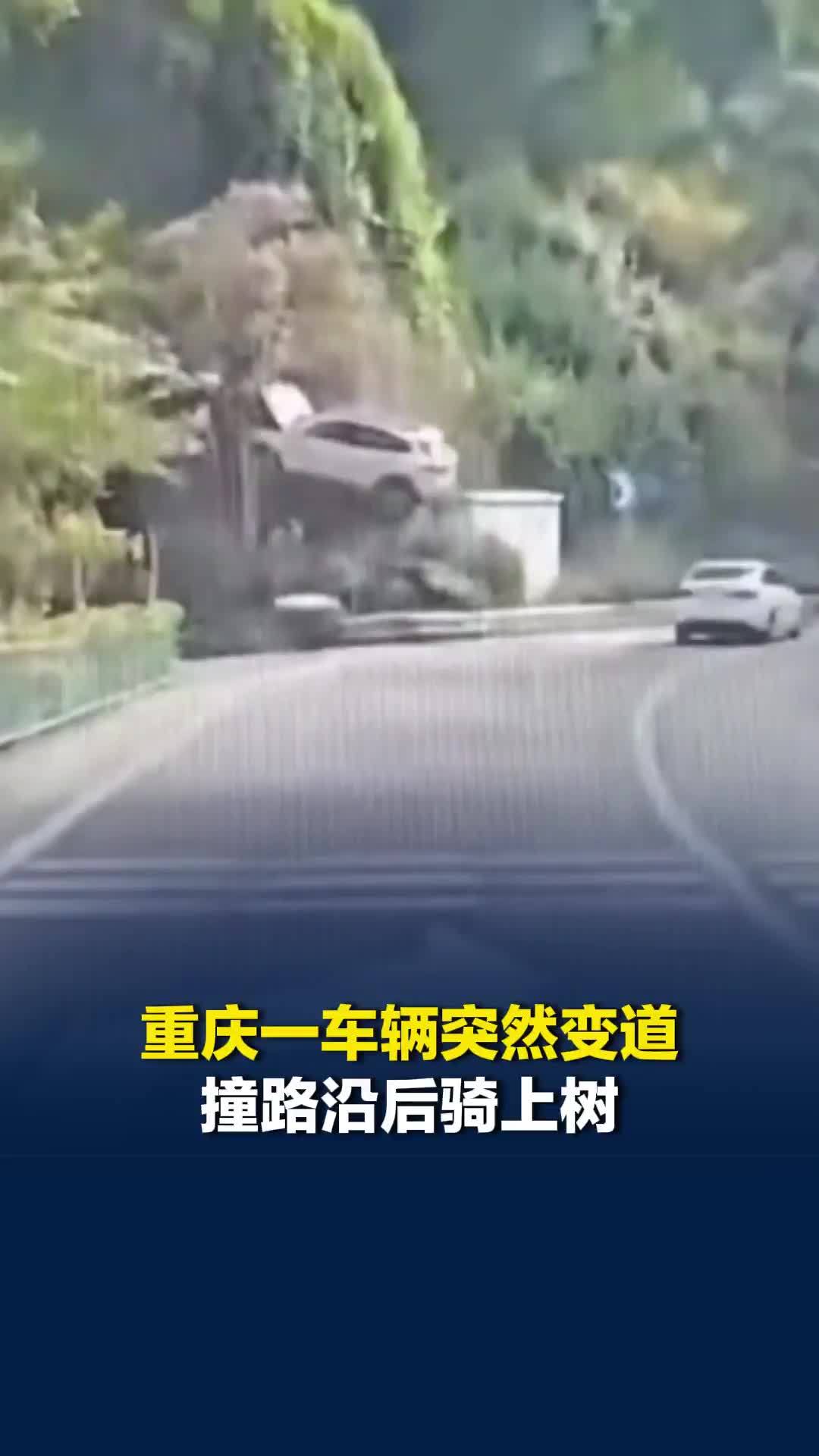 重庆一车辆突然变道，撞路沿后骑上树，司机获救身体无恙