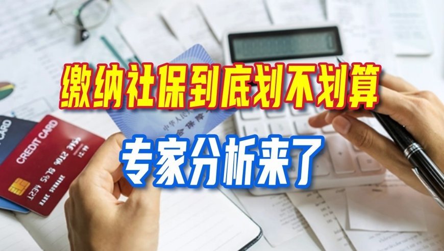 缴纳社保到底划不划算？专家分析来了，你怎么看？