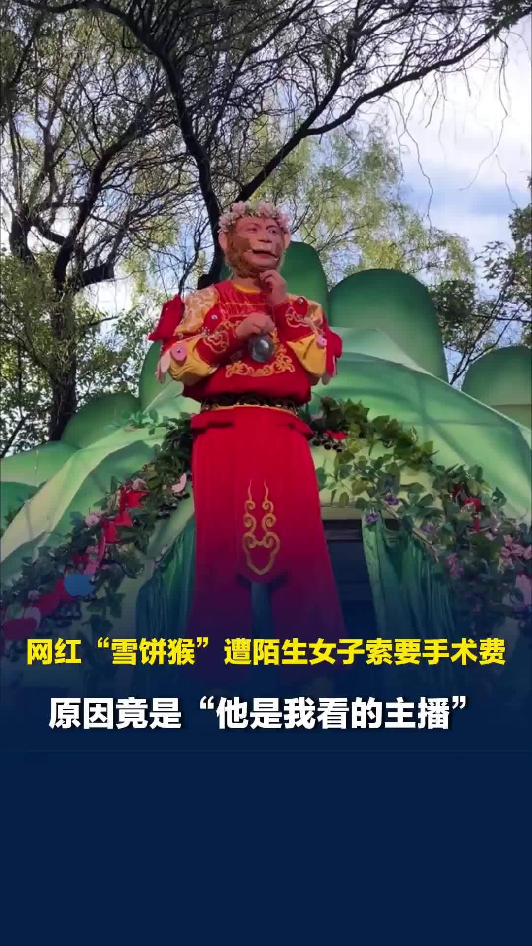网红“雪饼猴”遭陌生女子索要手术费，原因竟是“他是我看的主播”，经纪人及园方回应