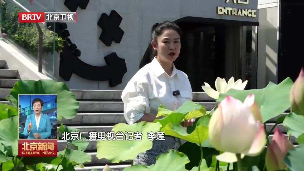 “十五五”期间 北京将打造百处“花园商圈”