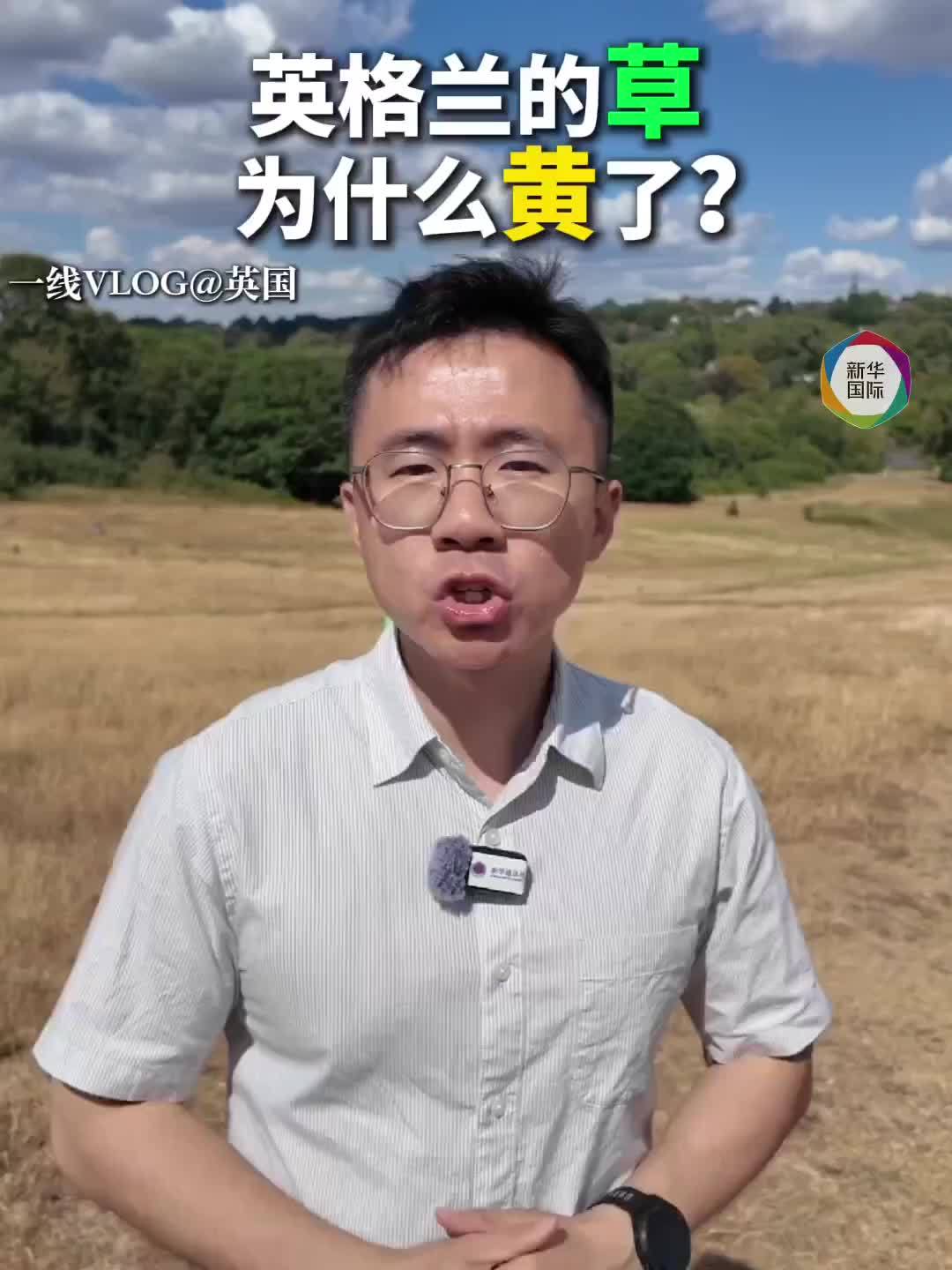 英格兰的草，为什么黄了？